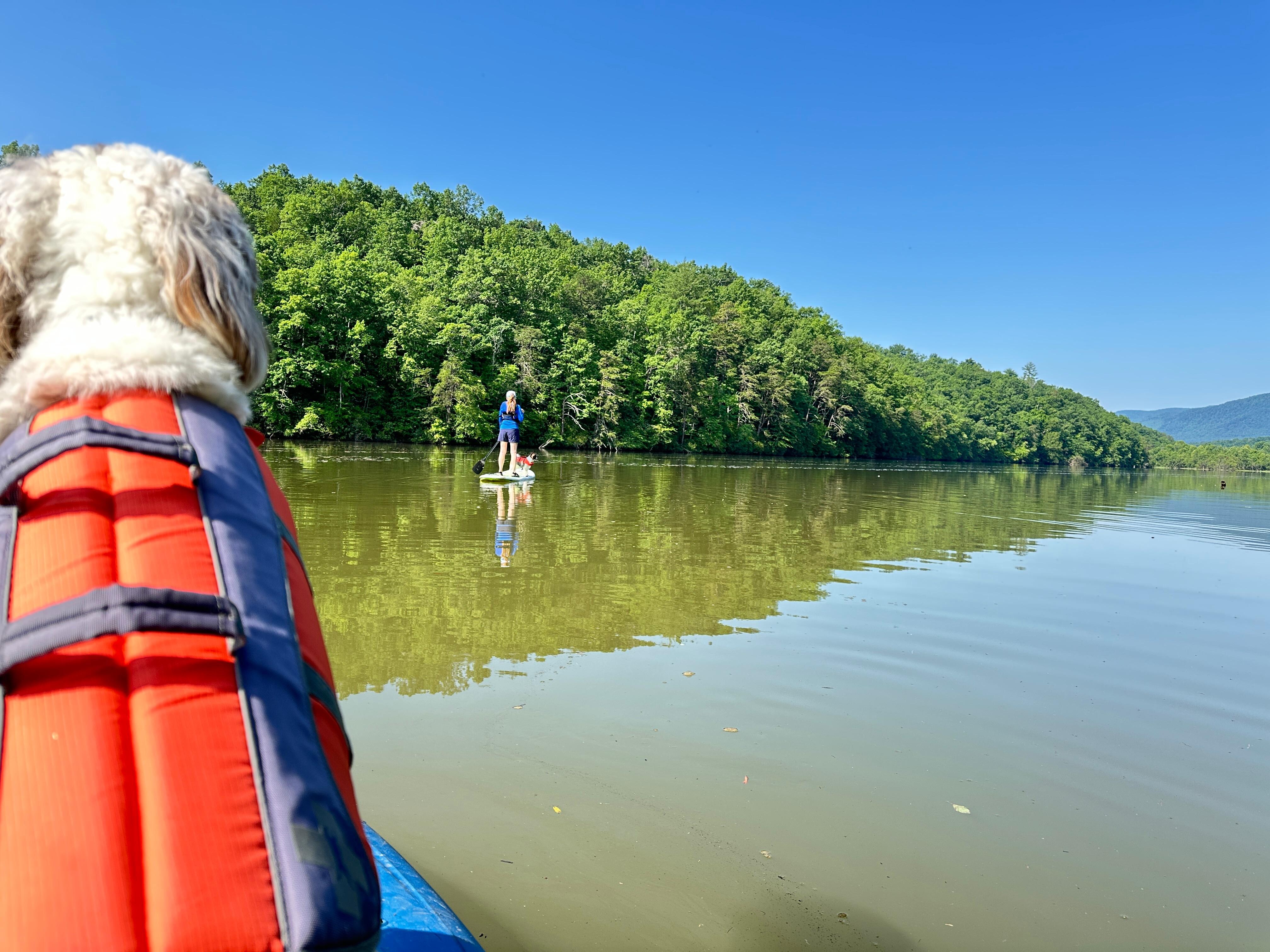 Kayaking and paddle boarding on the lake