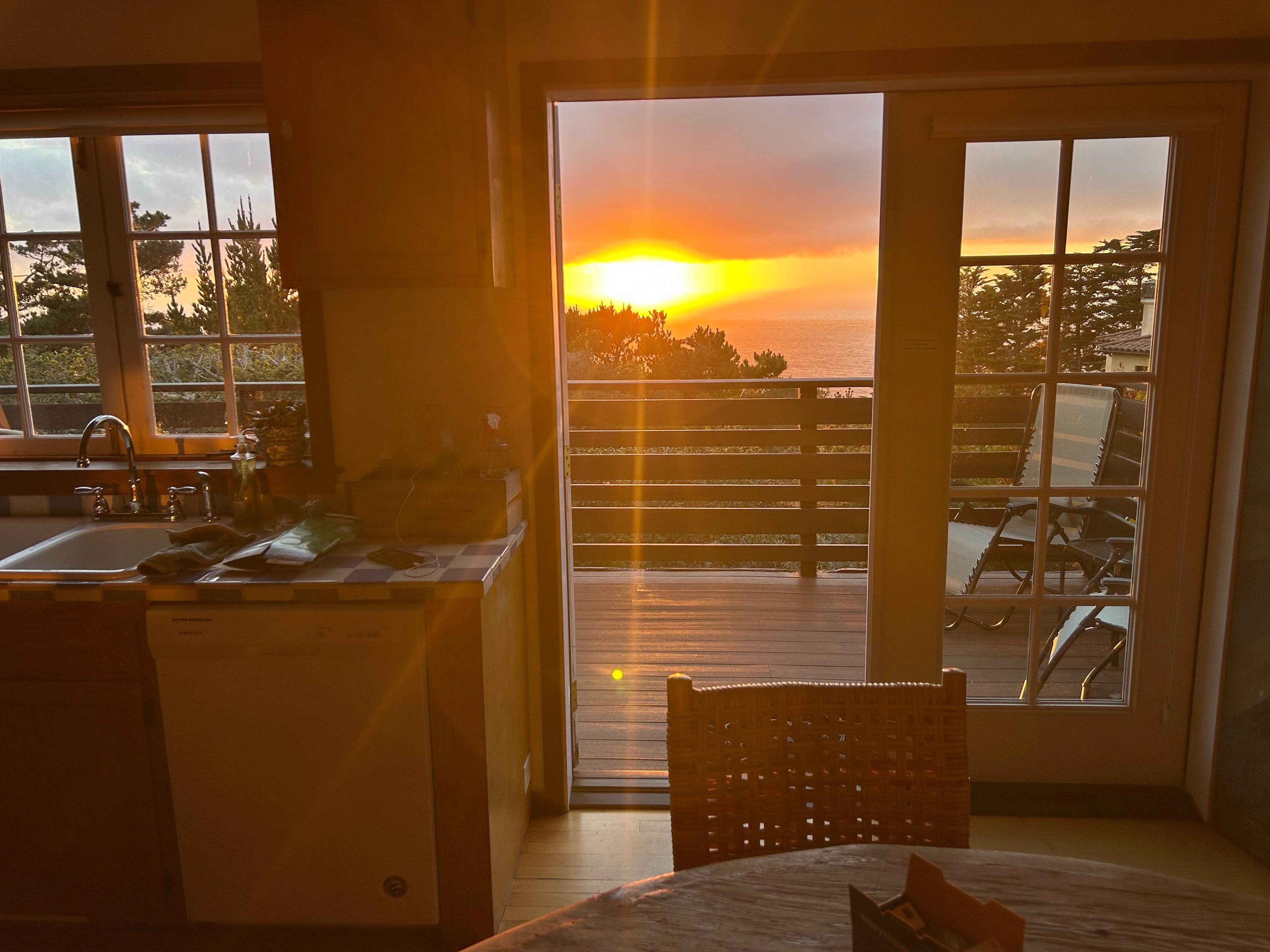 View from kitchen table