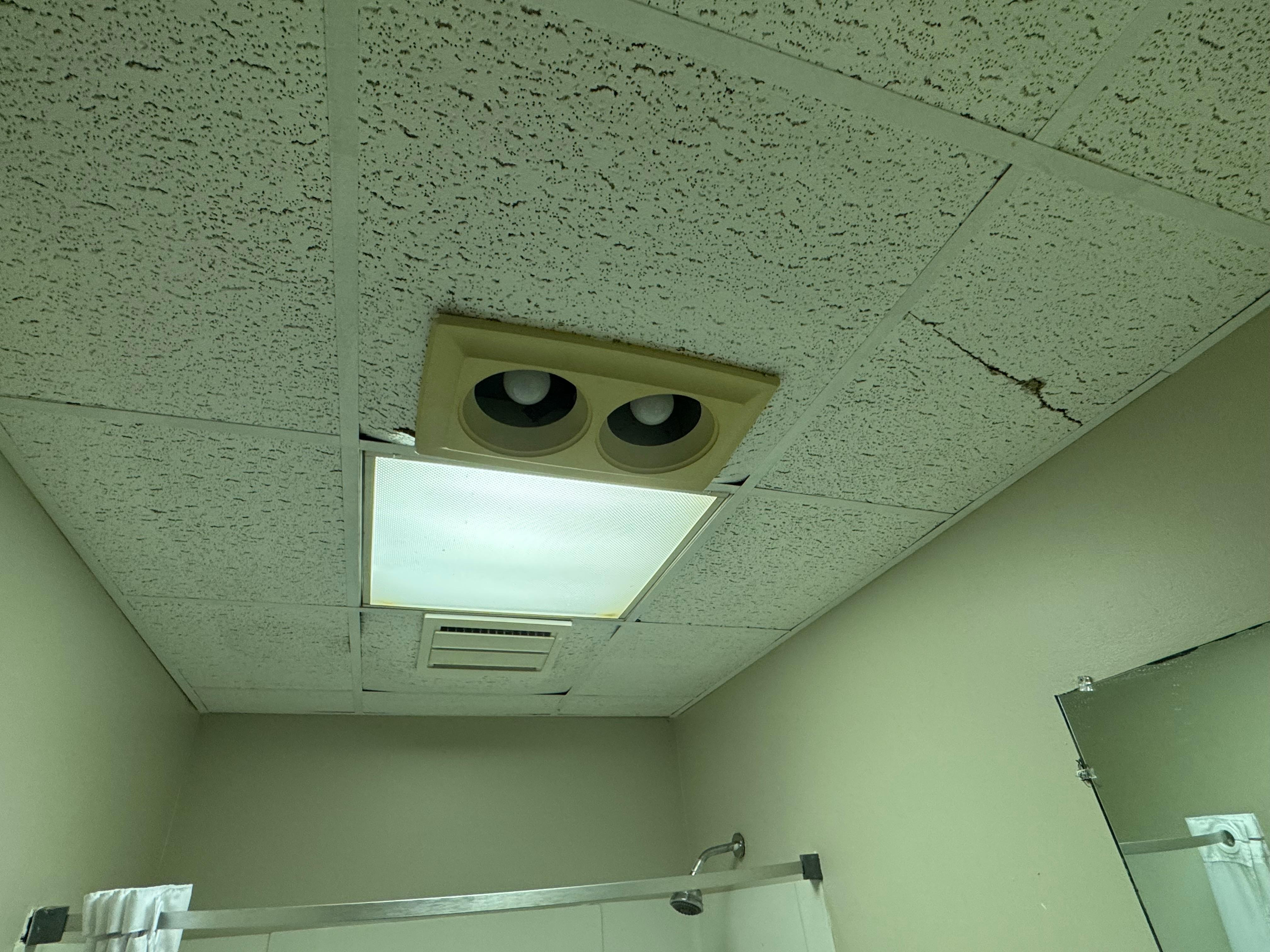 Ceiling Falling Down and Cracked