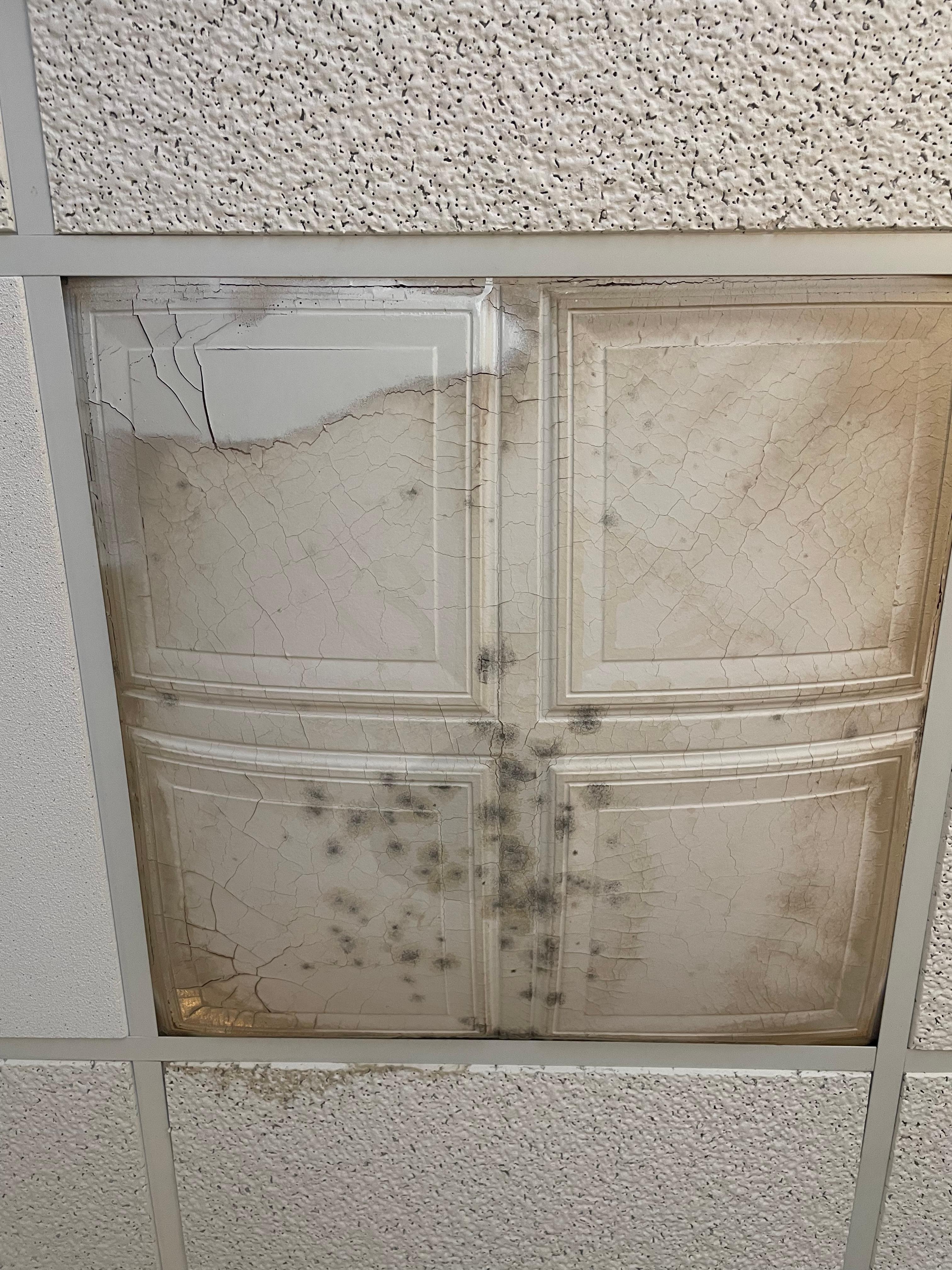 Moldy cieling tile