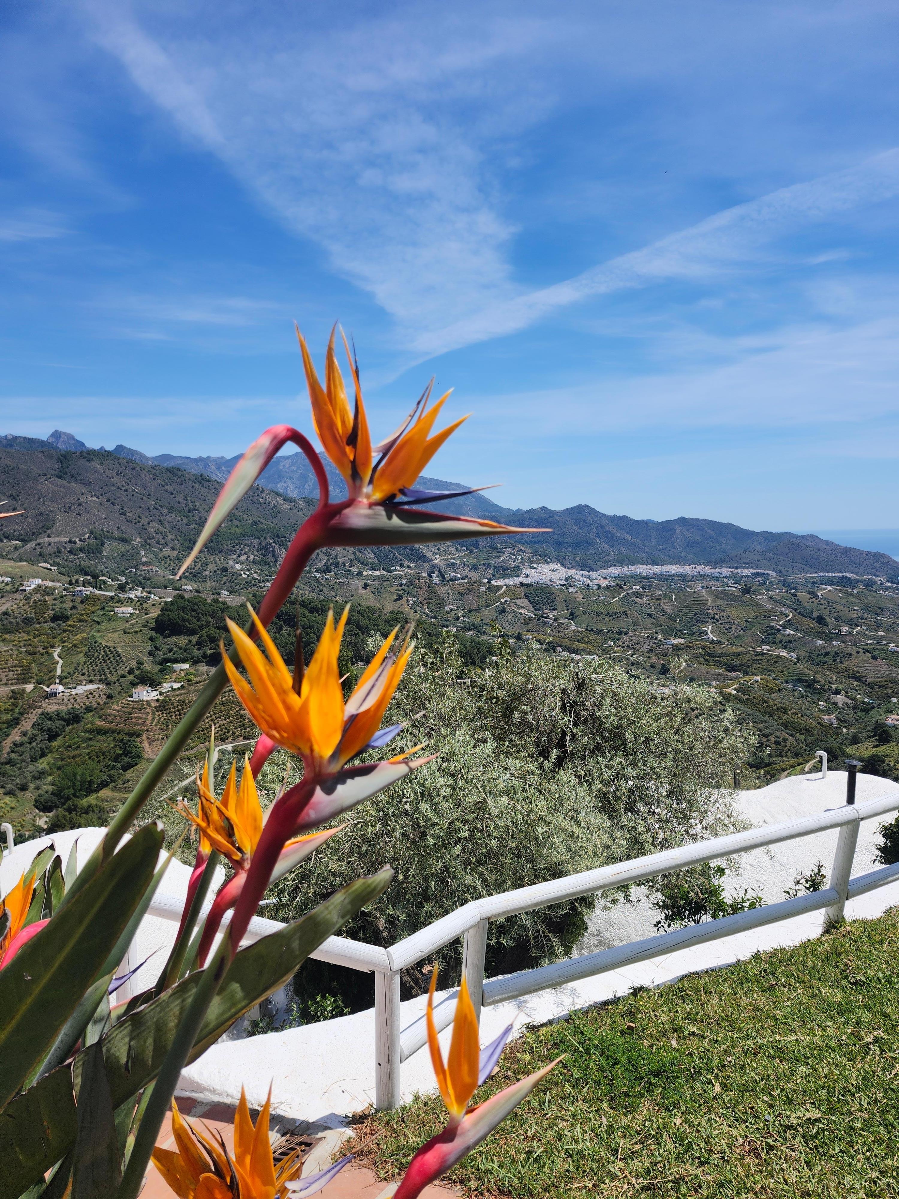 just outside of room view