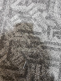 Screws on the floor outside the bathroom door.