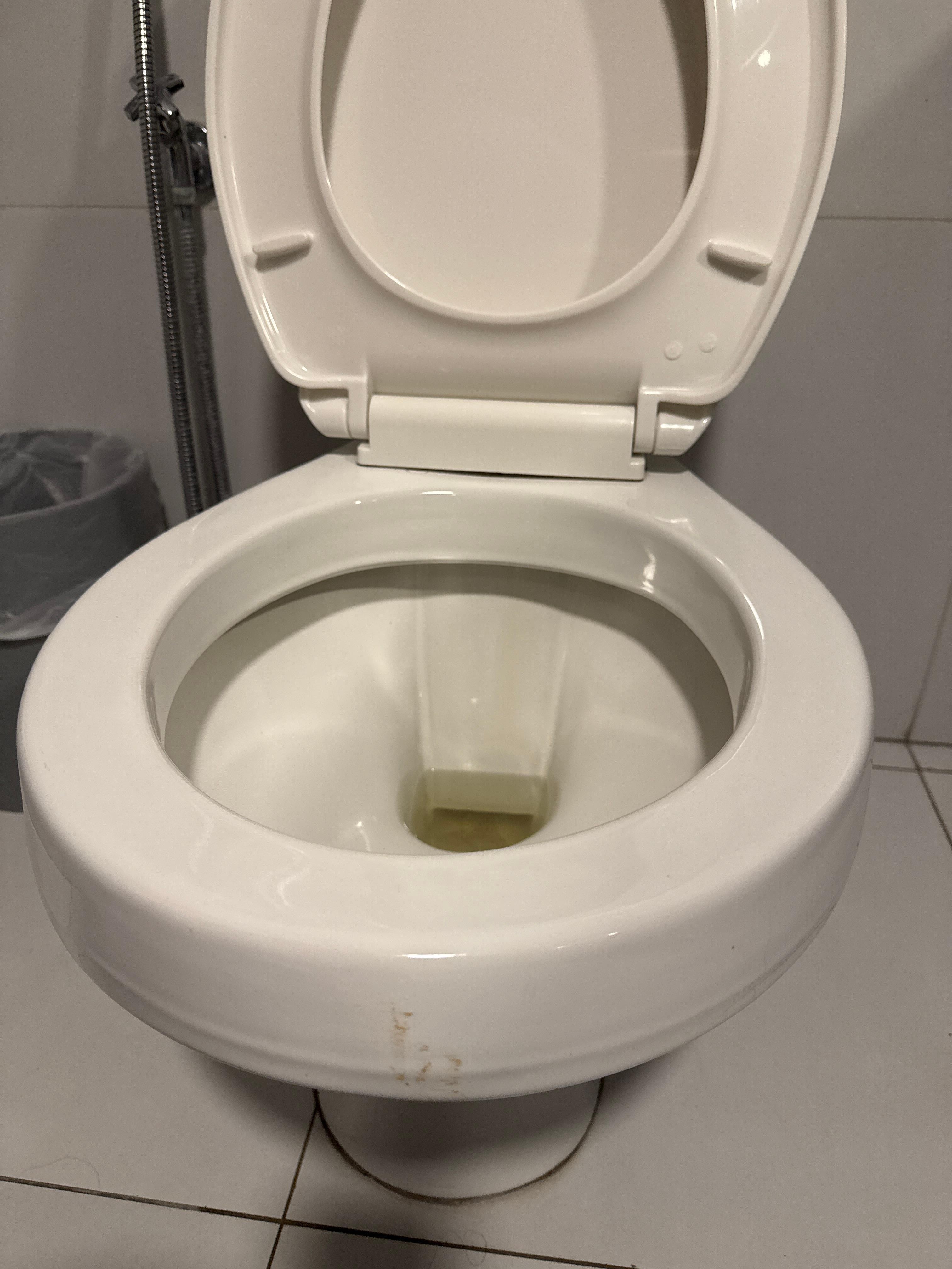 Vômito na louça do vaso sanitário.