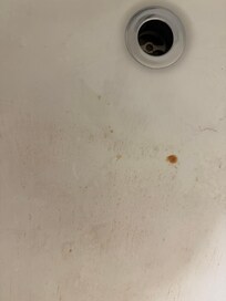 Dried blood in the tub.