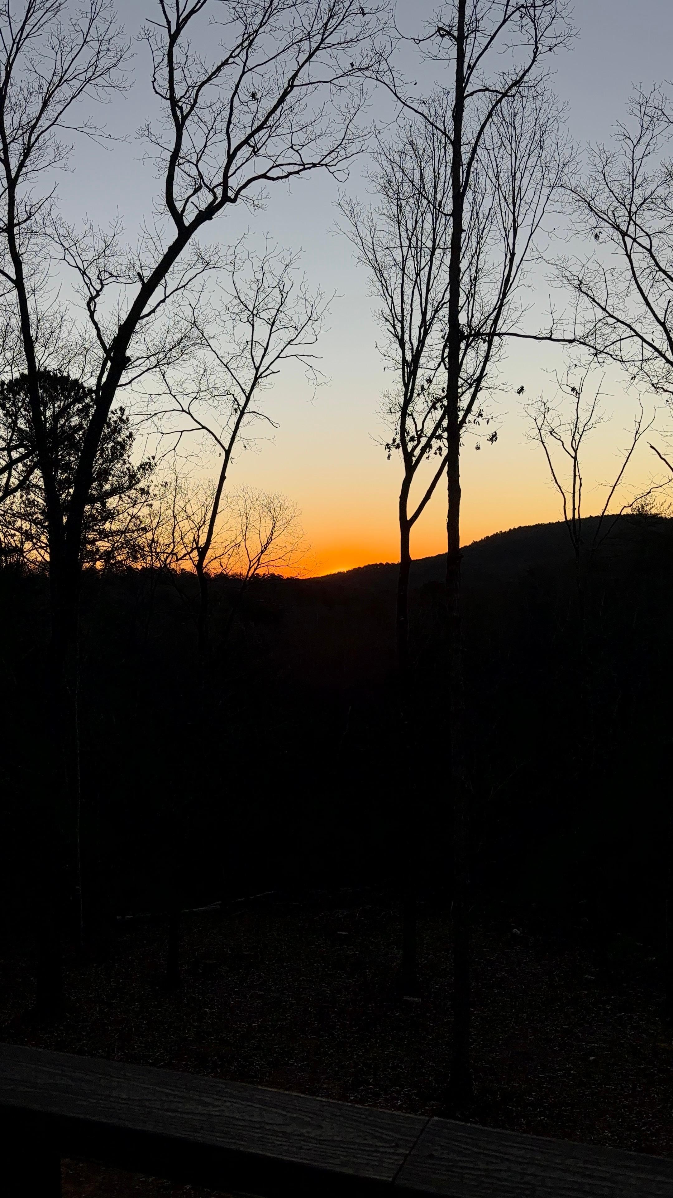 Sunrise from the back deck. 