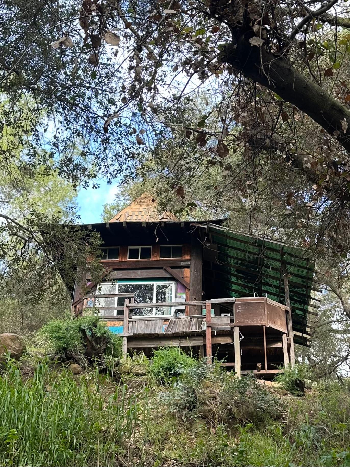 View from down at the creek 