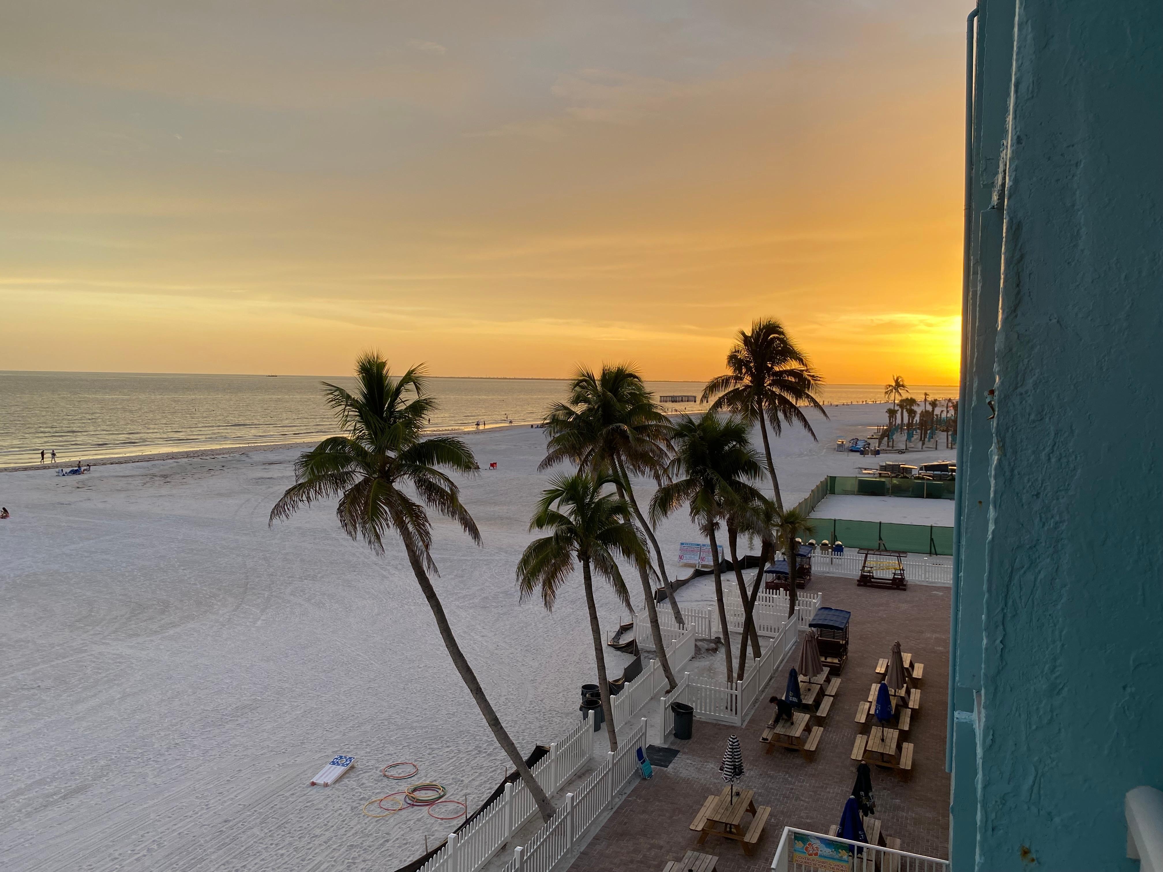 Evening view