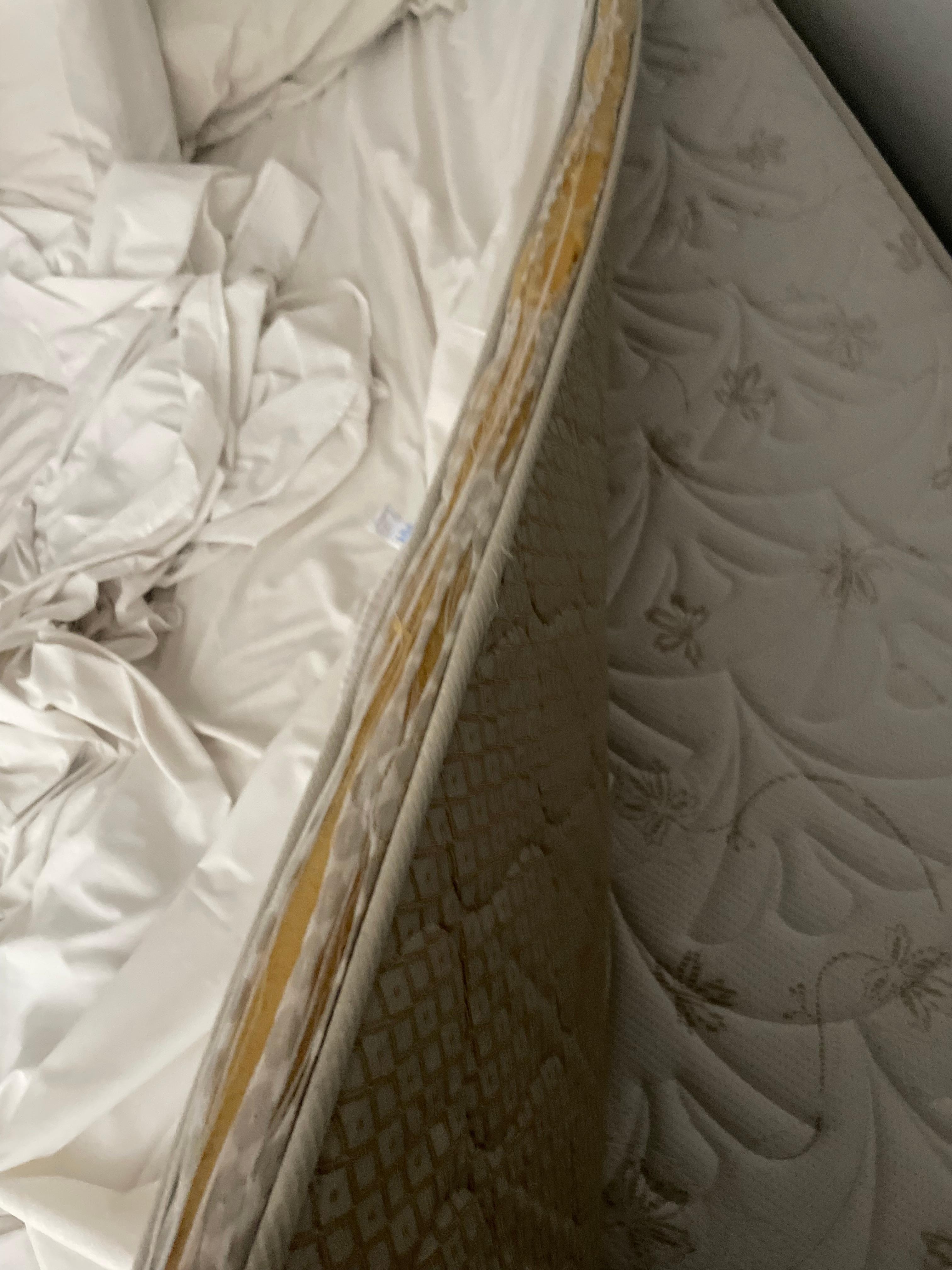 Pilotop velho é cheio de rasgos 