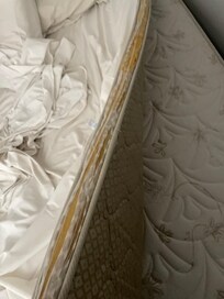 Pilotop velho é cheio de rasgos