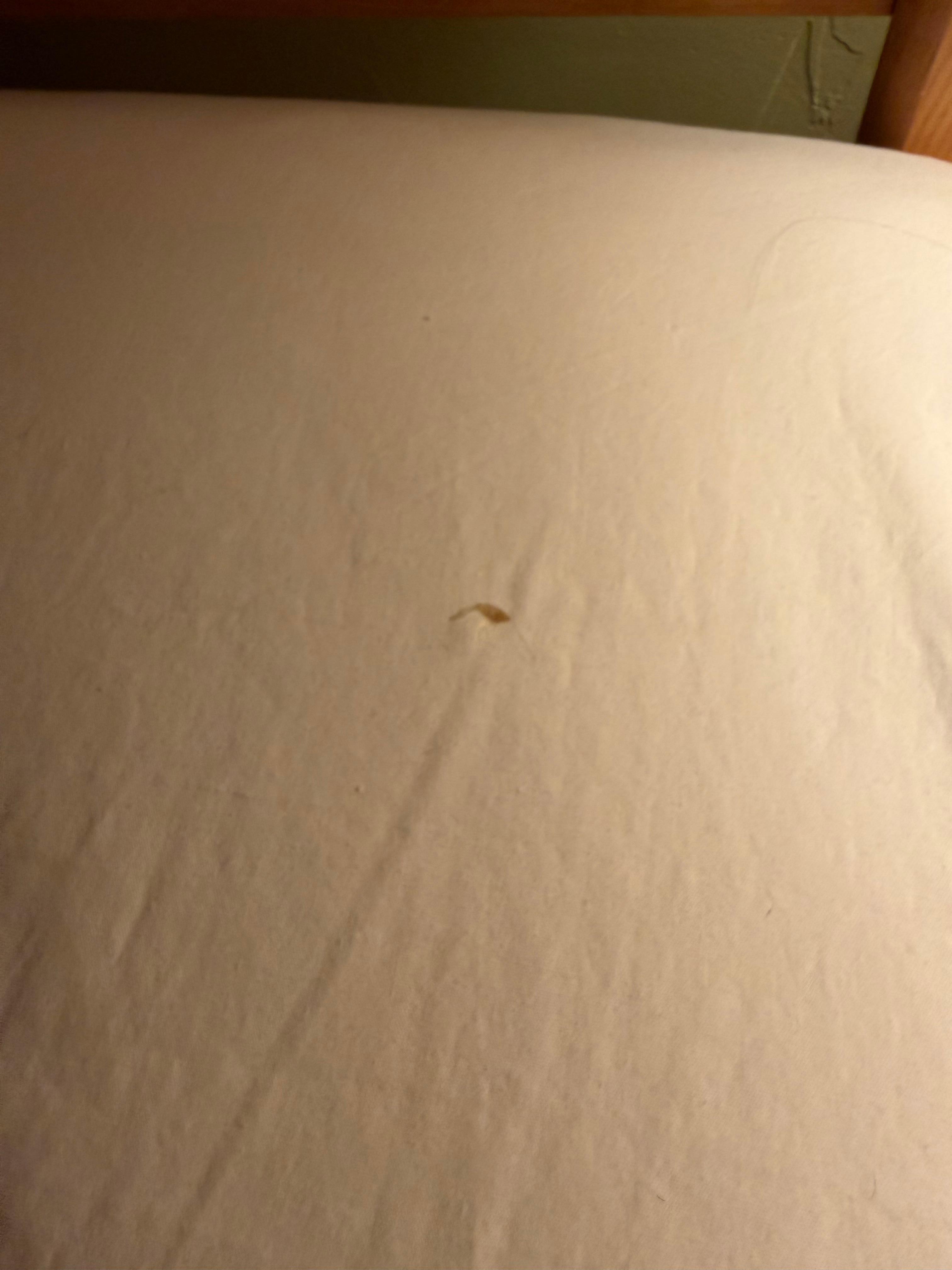 Dried booger and hair