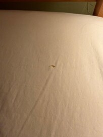 Dried booger and hair