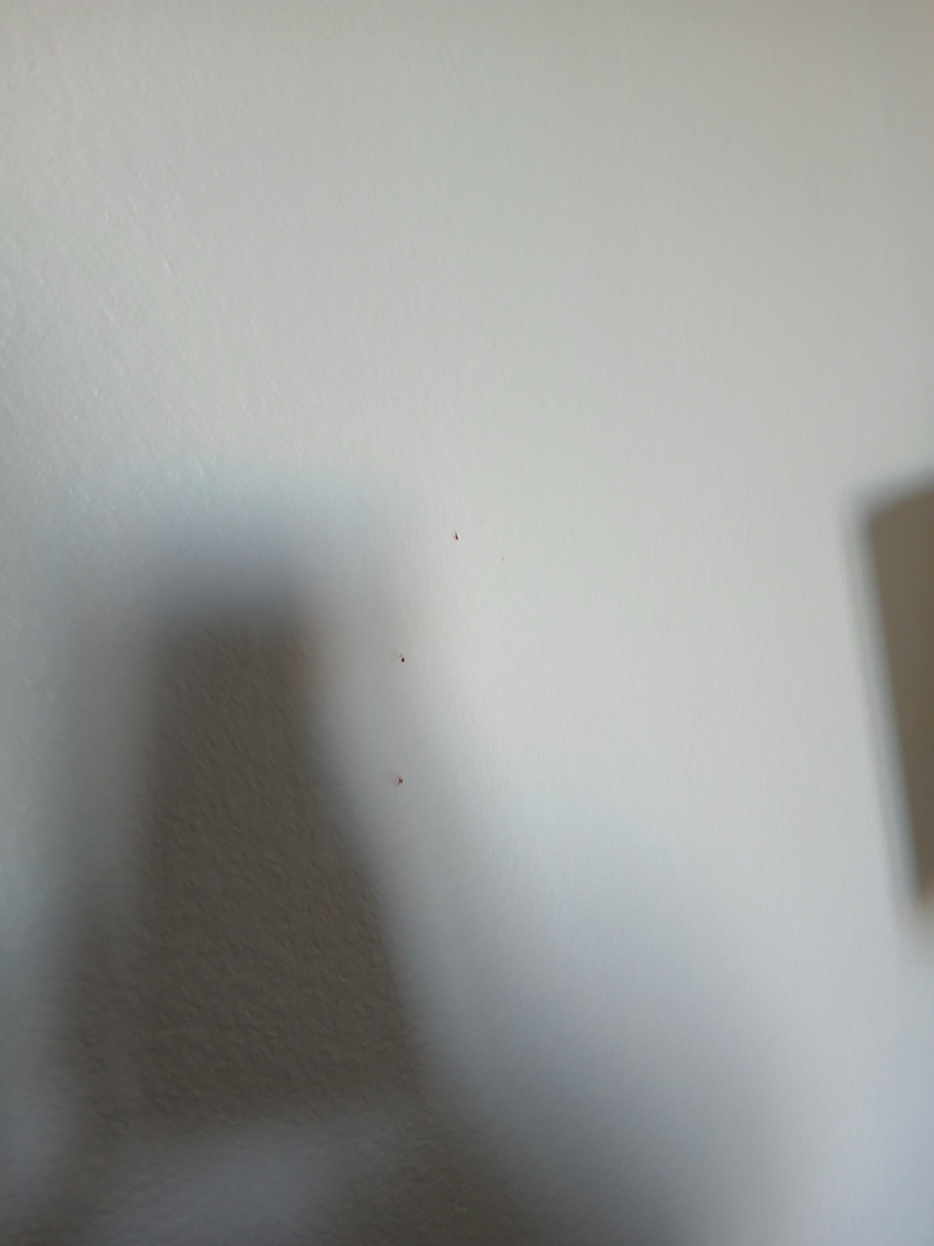 Walls had marks on them and we're dirty