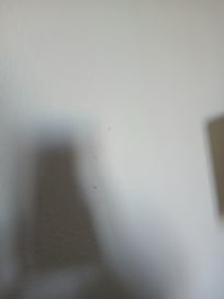 Walls had marks on them and we're dirty