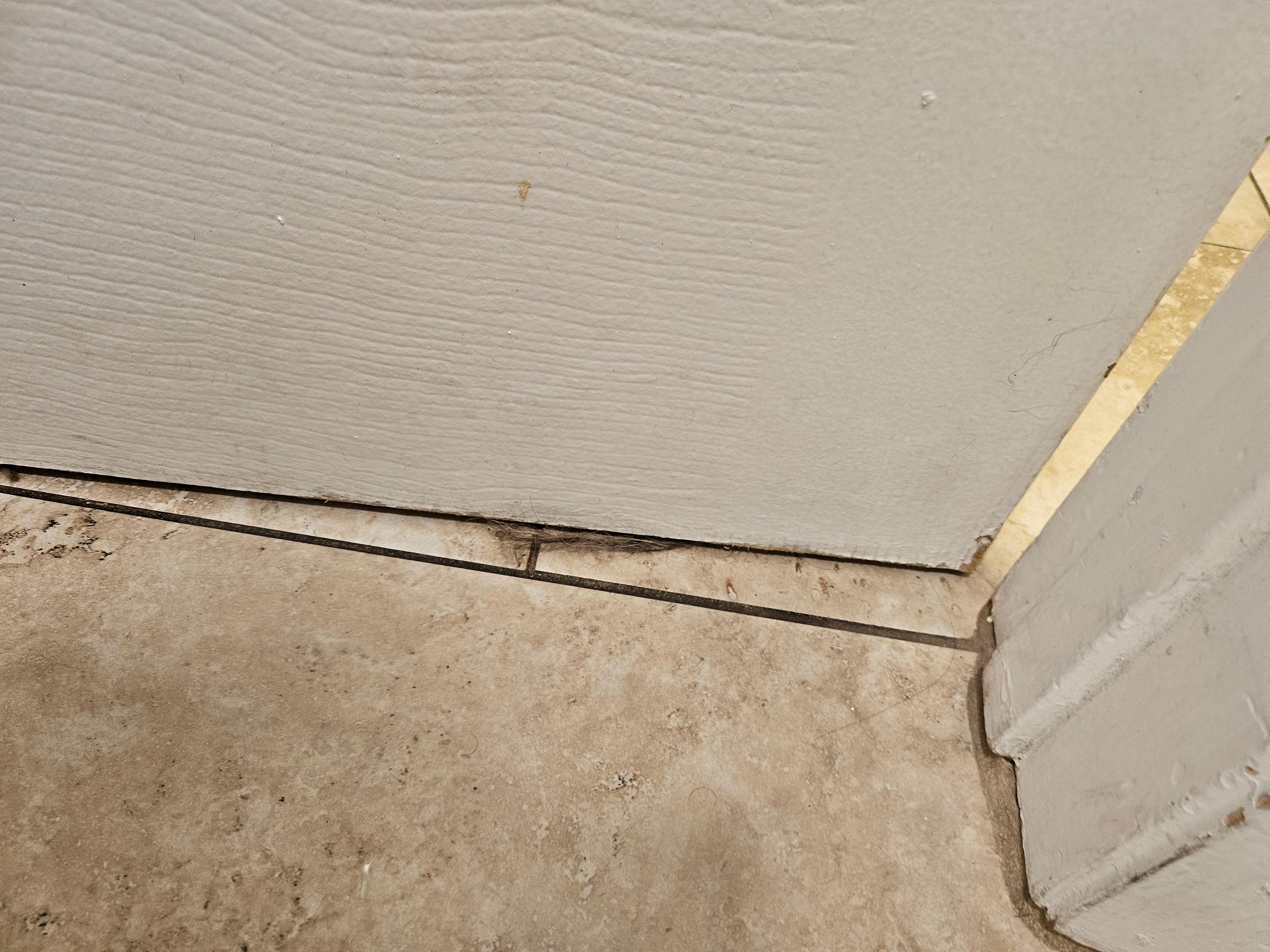 The hair under the bathroom door.  Gross