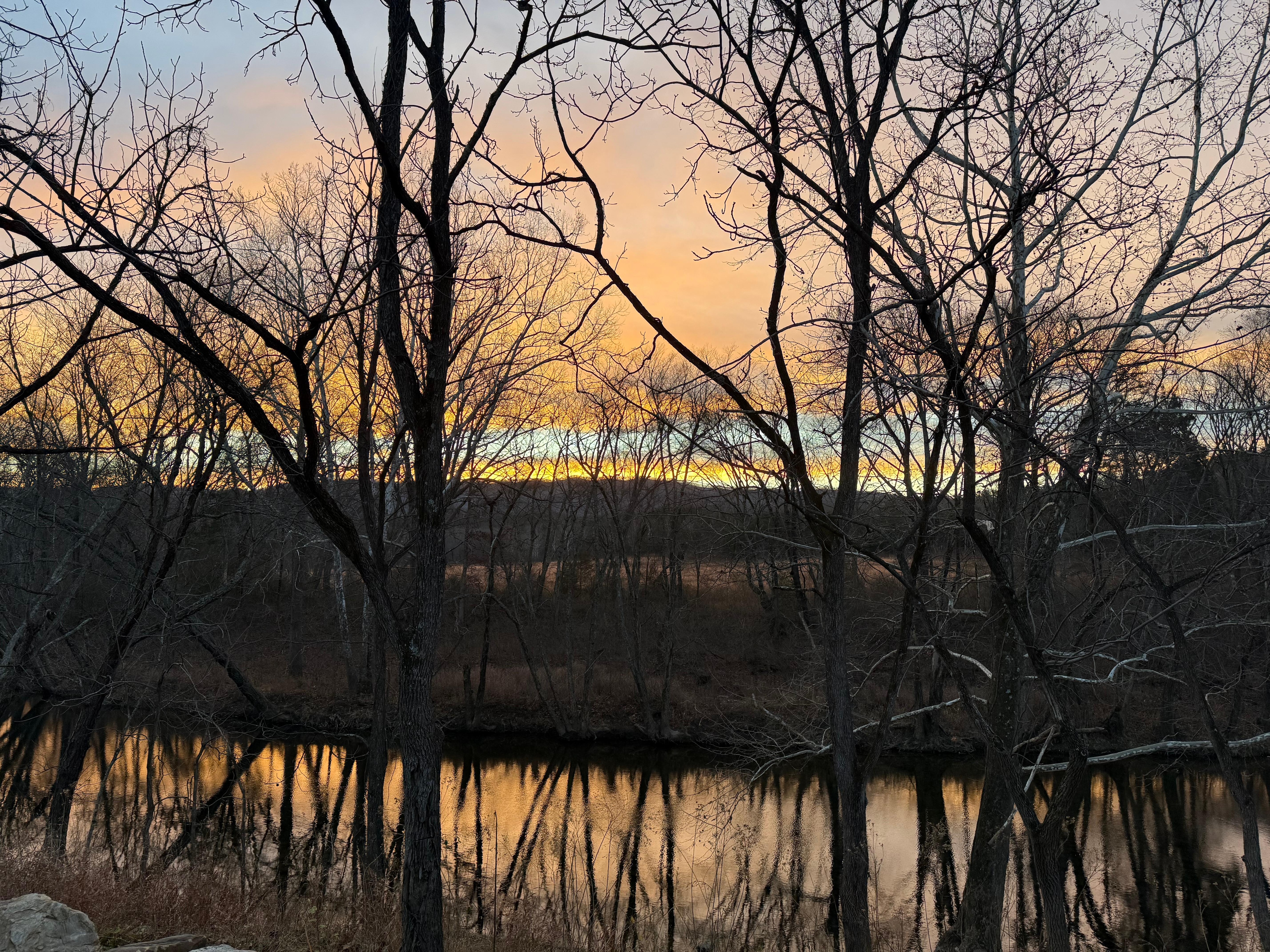 Can’t imagine a better view to wake up with.