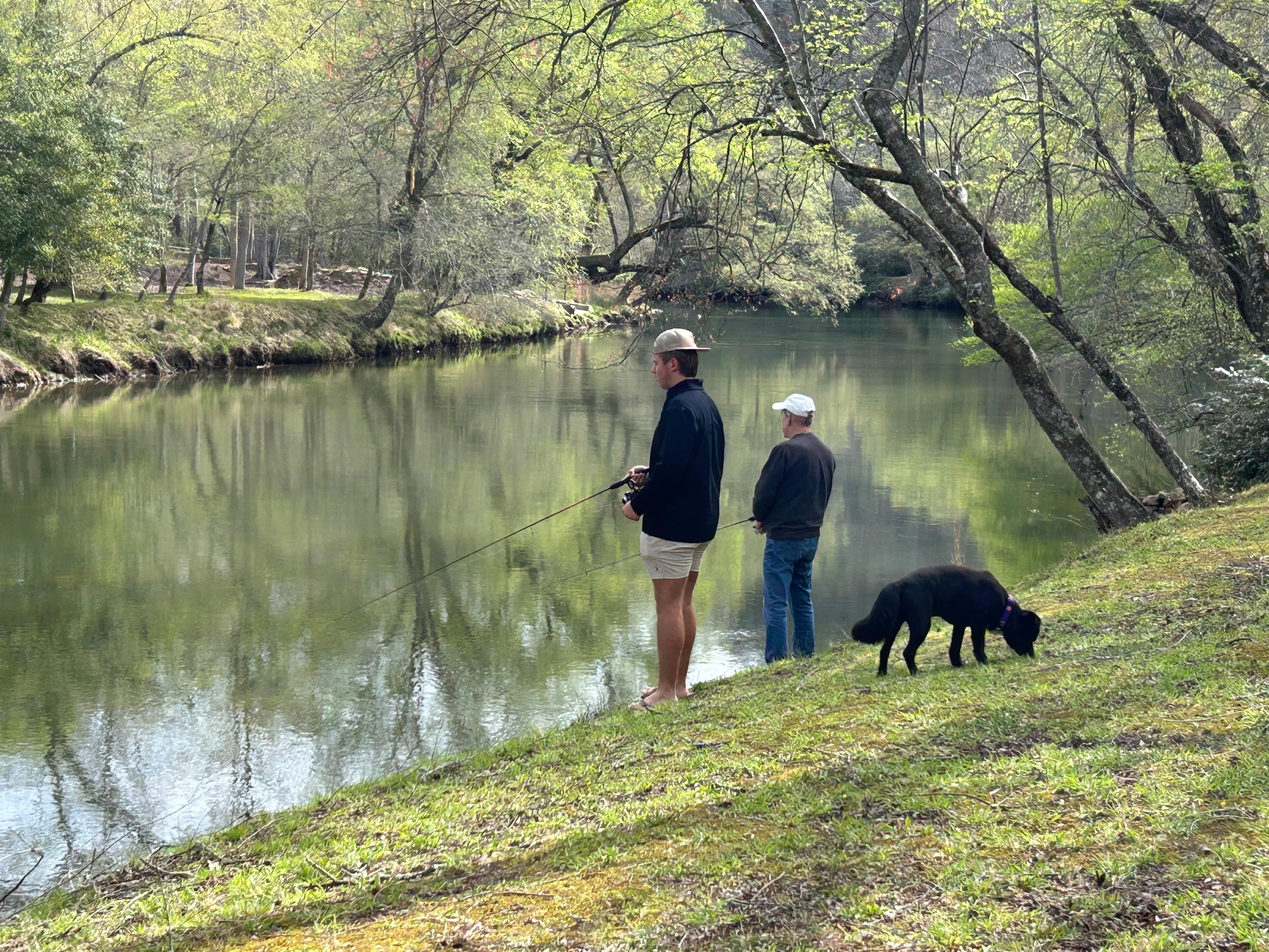 Fishing so easy right iff the bank