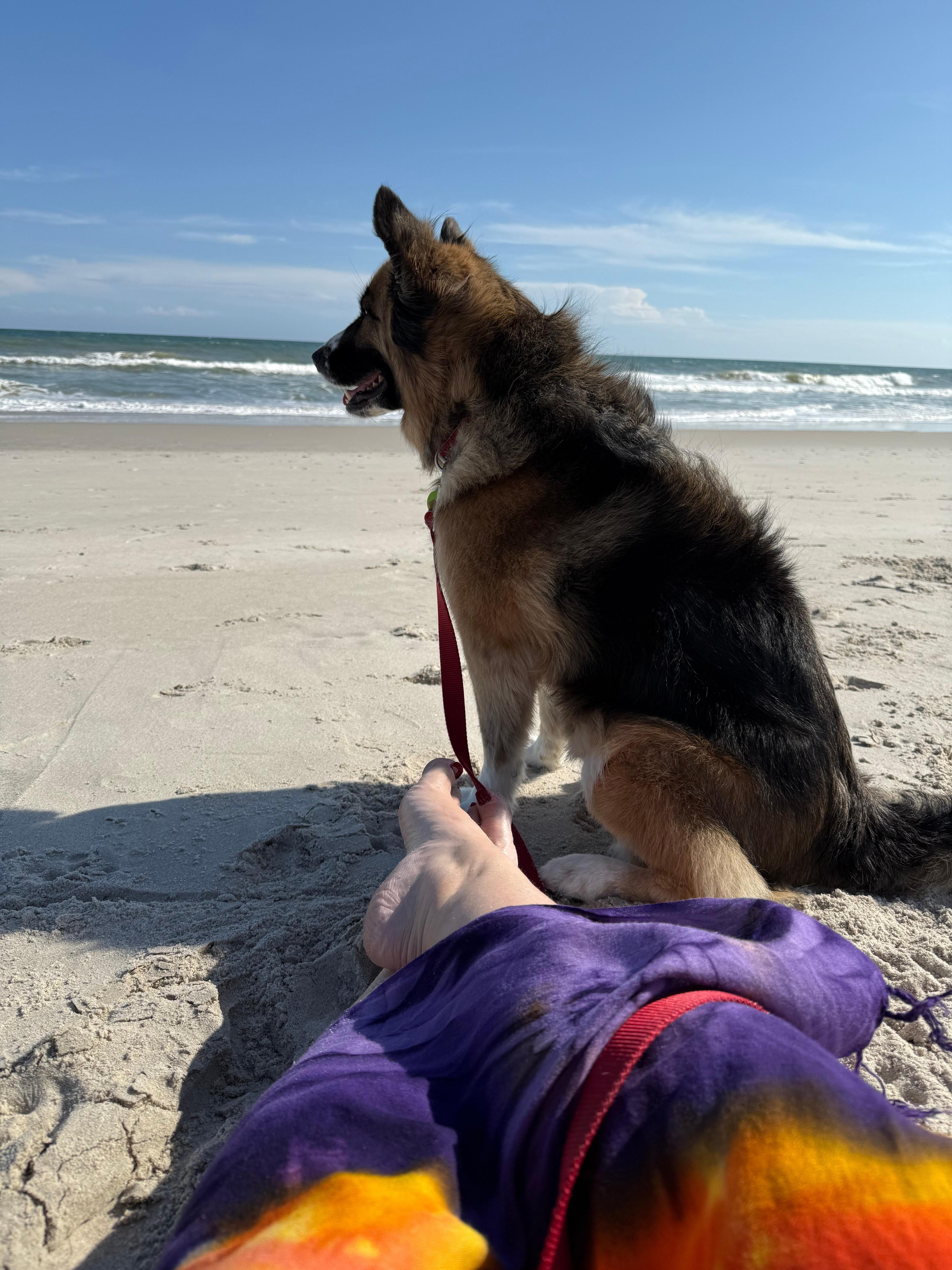 We frequented the beach right off the private access from Siren’s Song