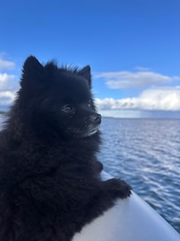 Chilly but beautiful! Grateful to bring the pets with us.