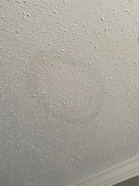 Ceiling above our beds