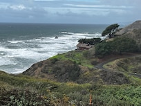 View from the family room