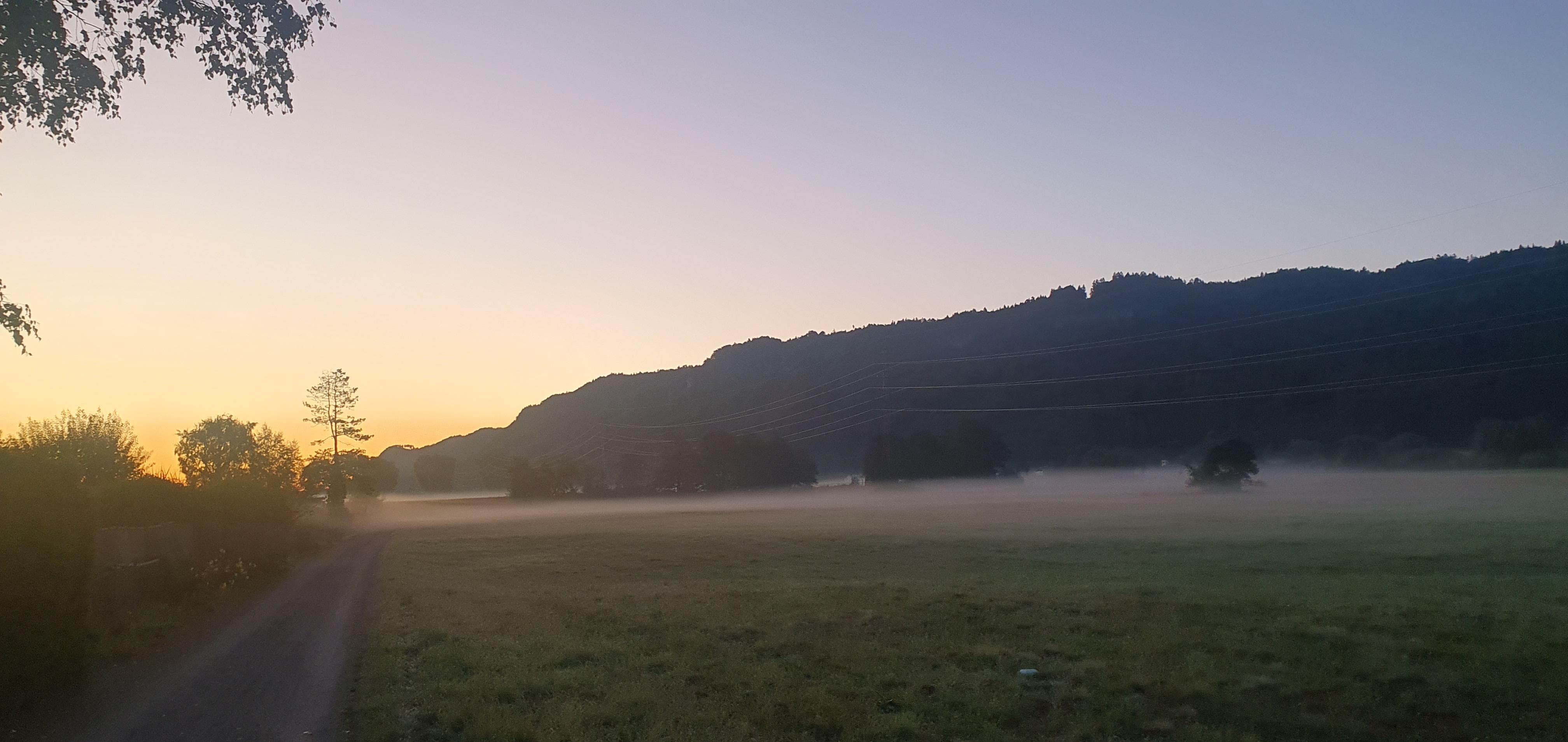 Morgenstimmung quasi vor dem Gartentor