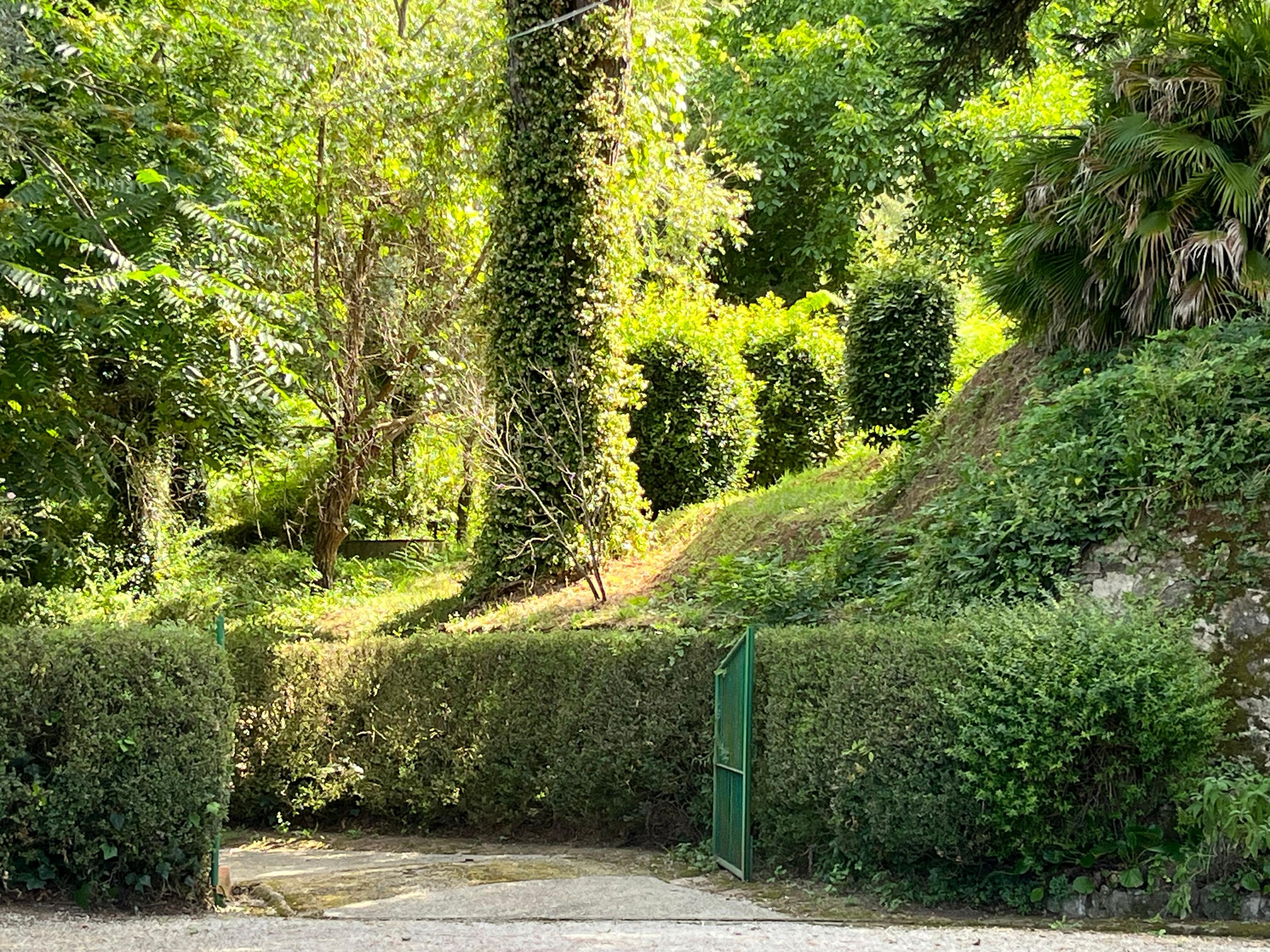Walking behind the residence.