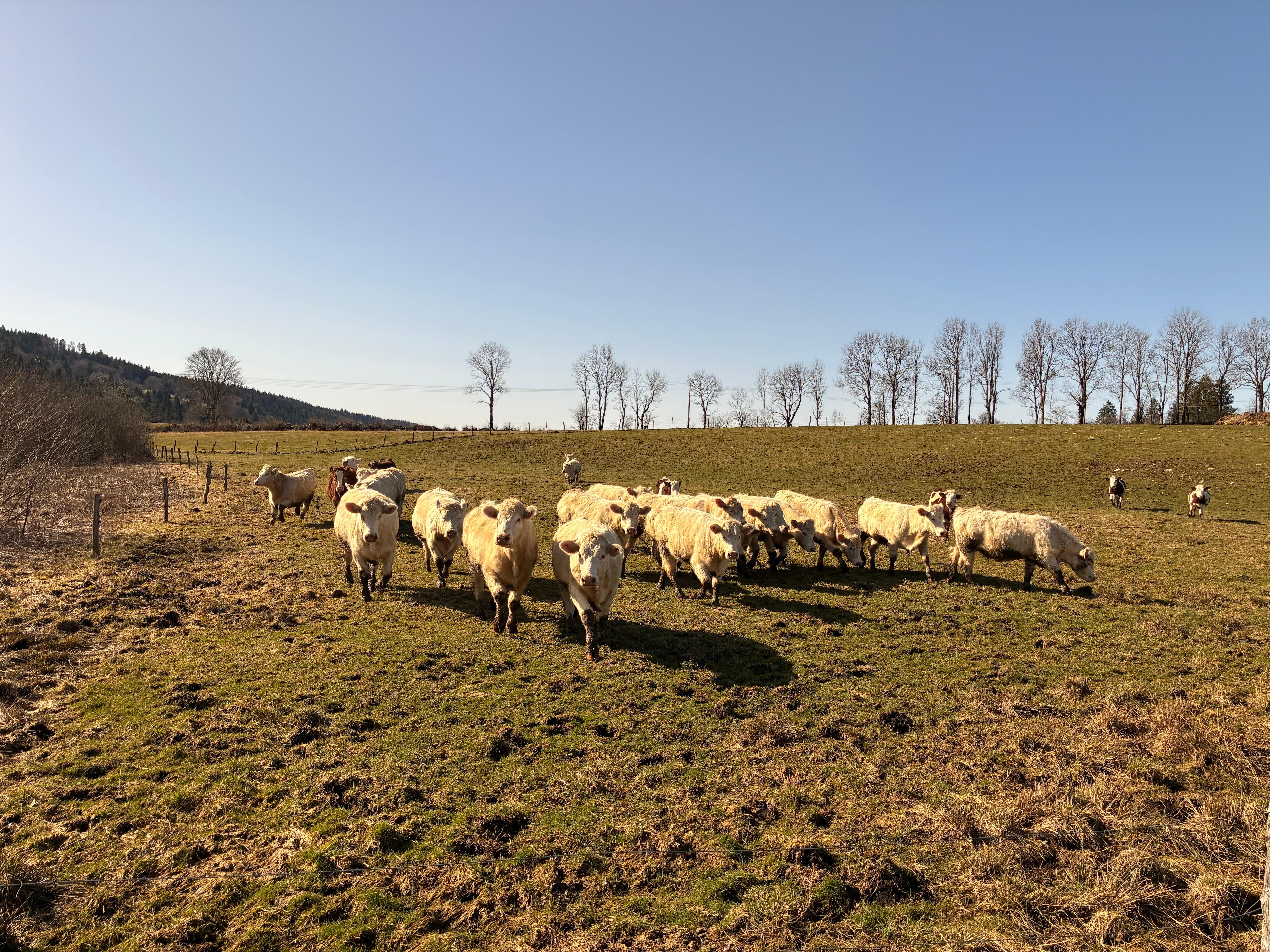 Des voisines à moins de 2 kilomètres 