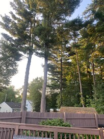 View from the back patio
