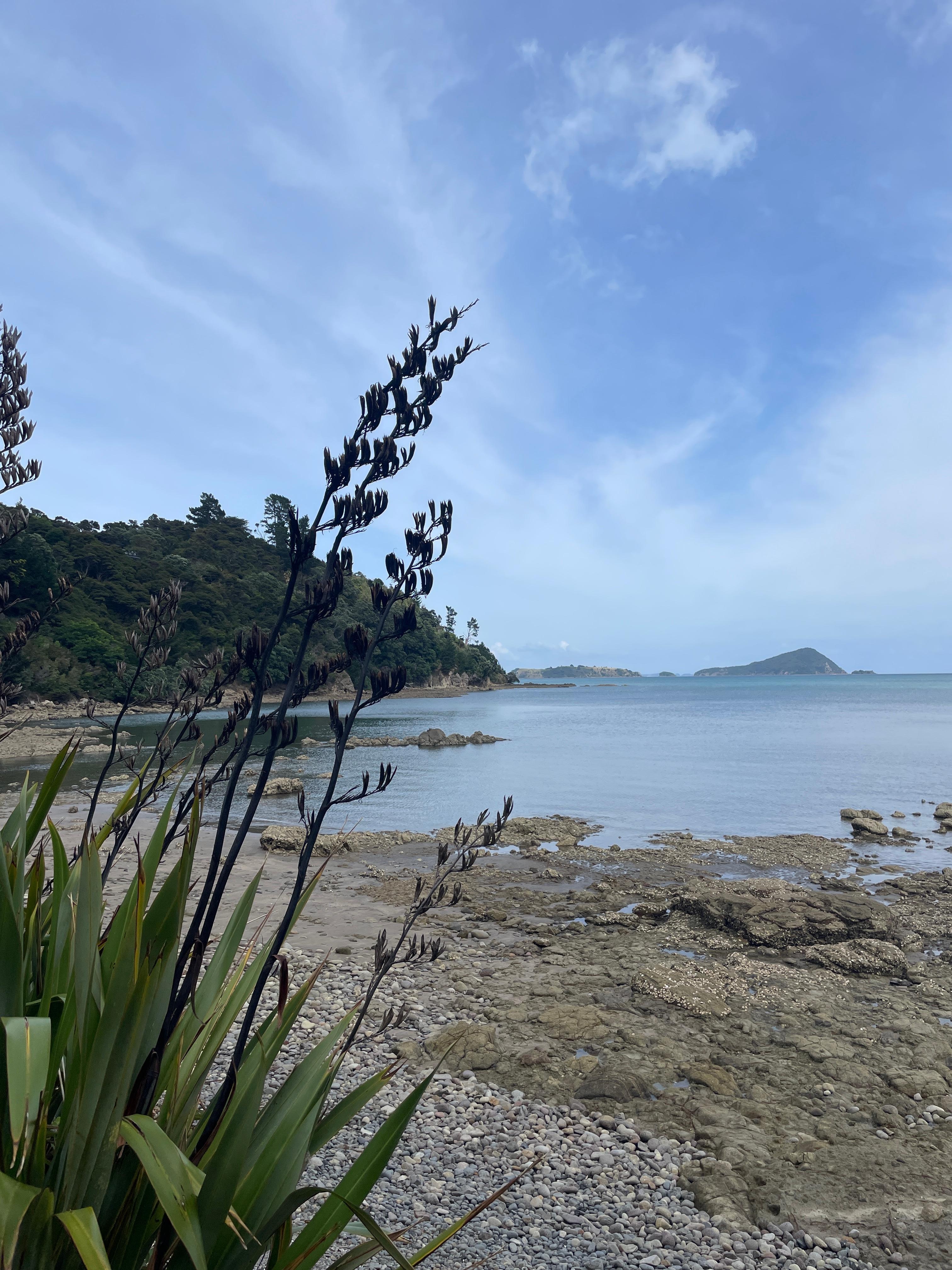 The walk just below the property.