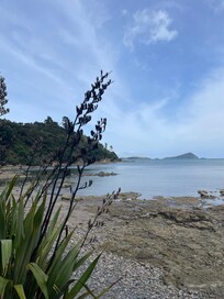 The walk just below the property.