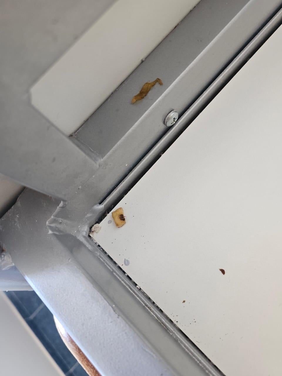 Resto de comida embaixo do colchão. 