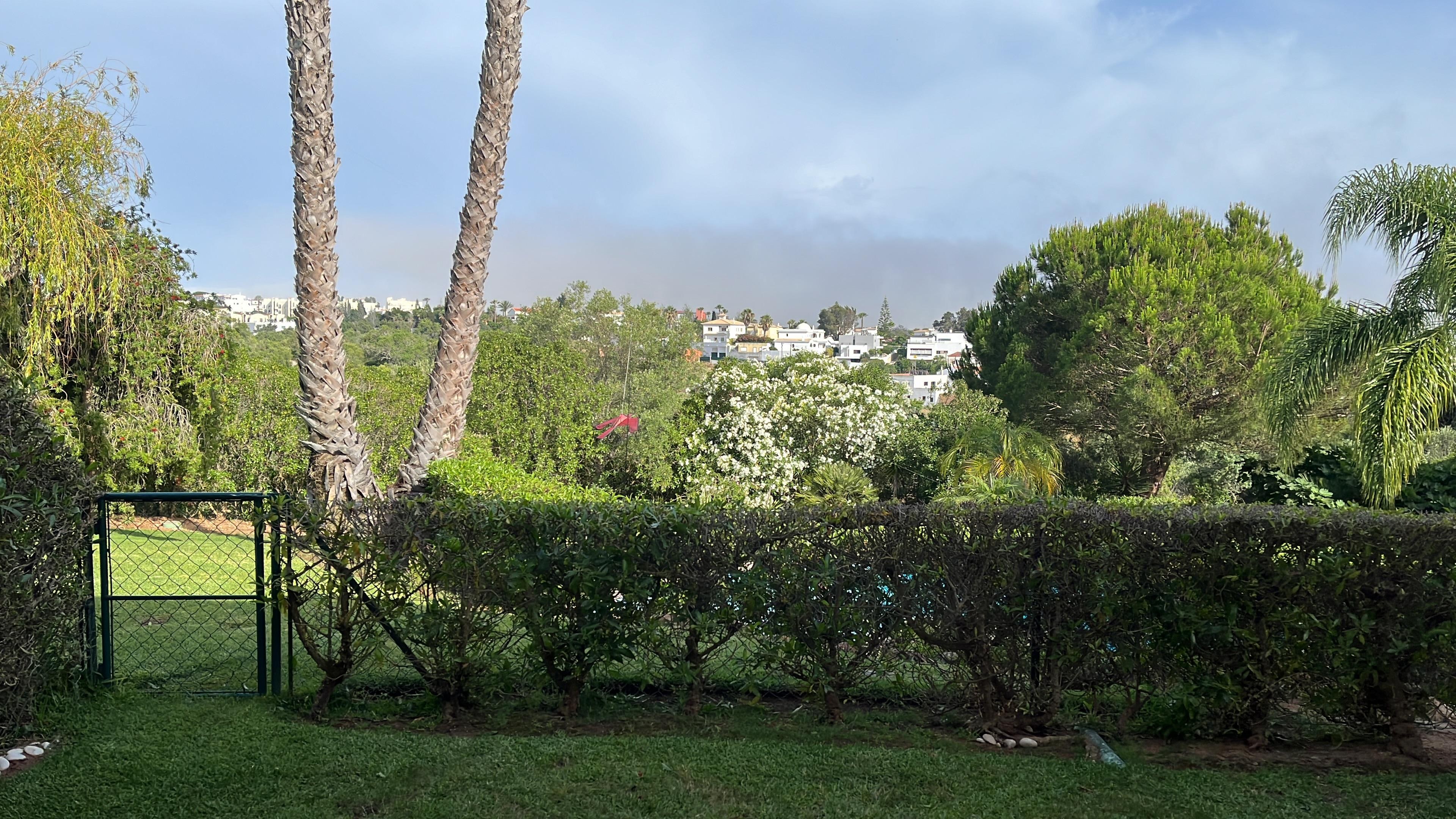 Der Blick von der Terrasse in den Garten