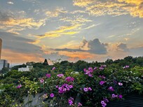 Rooftop terrace