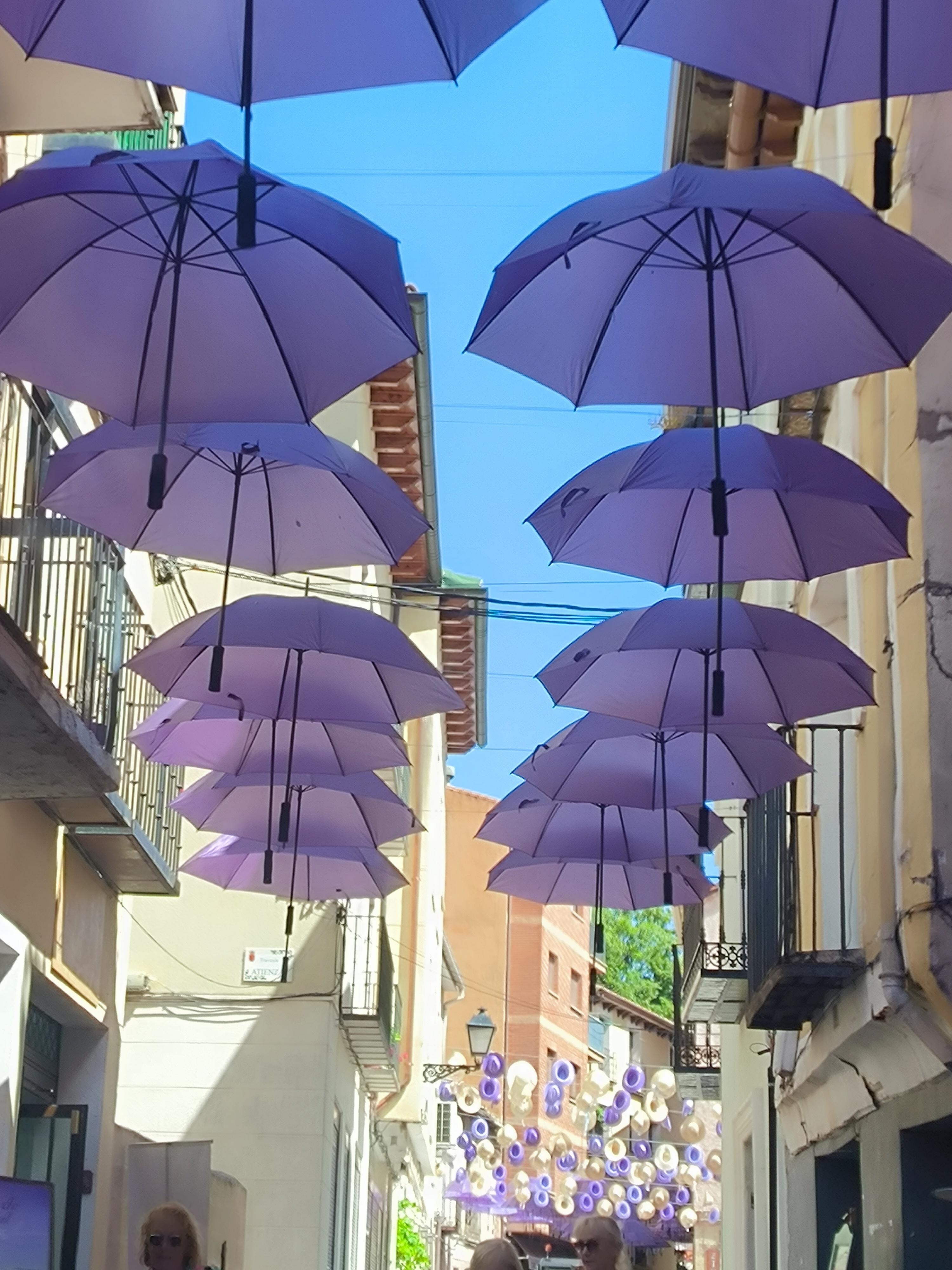 Festival de la Lavanda del 25  de Junio, al 31 de Agosto