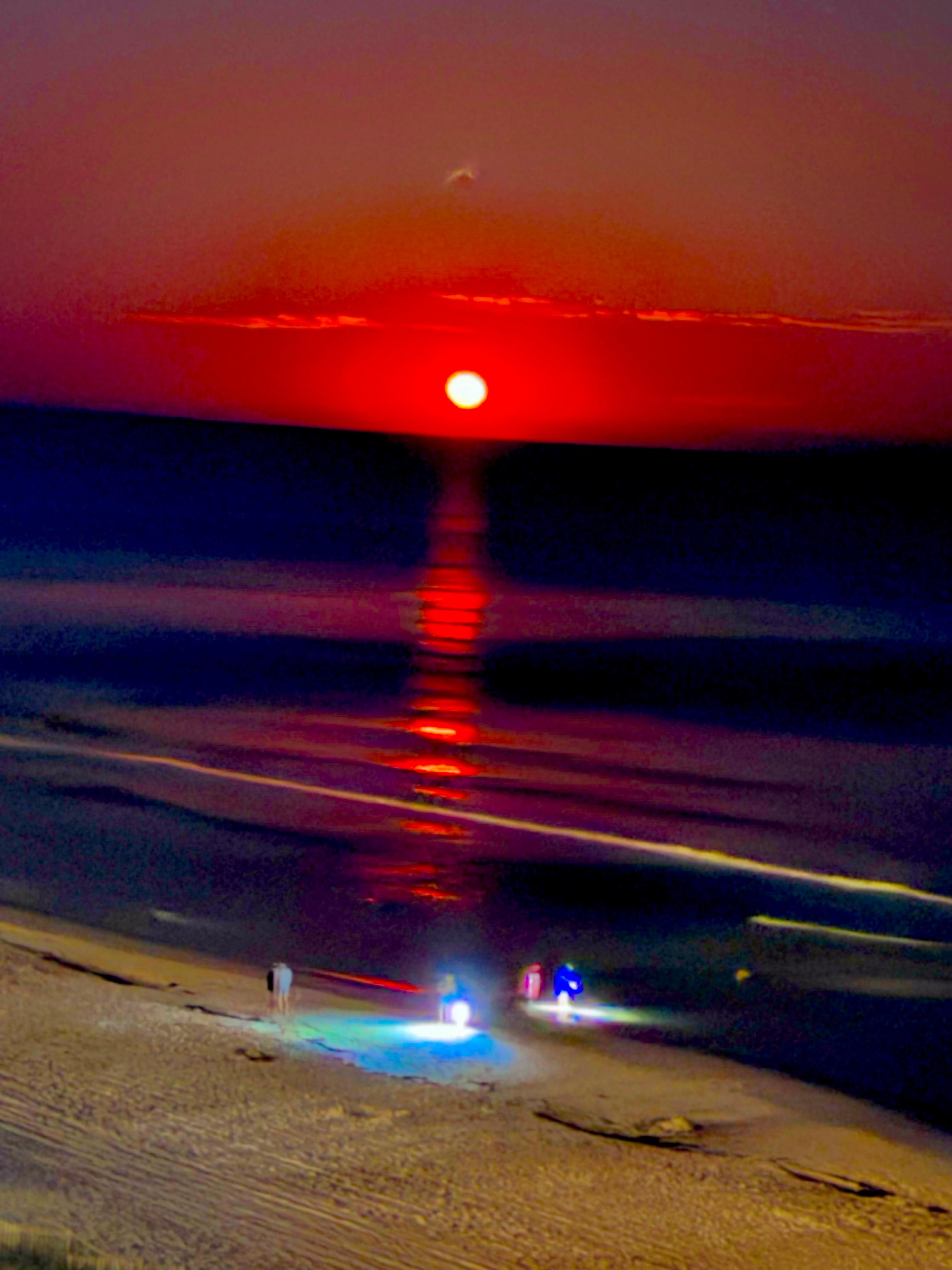 Sunset looking for food
