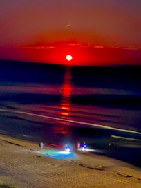 Sunset looking for food