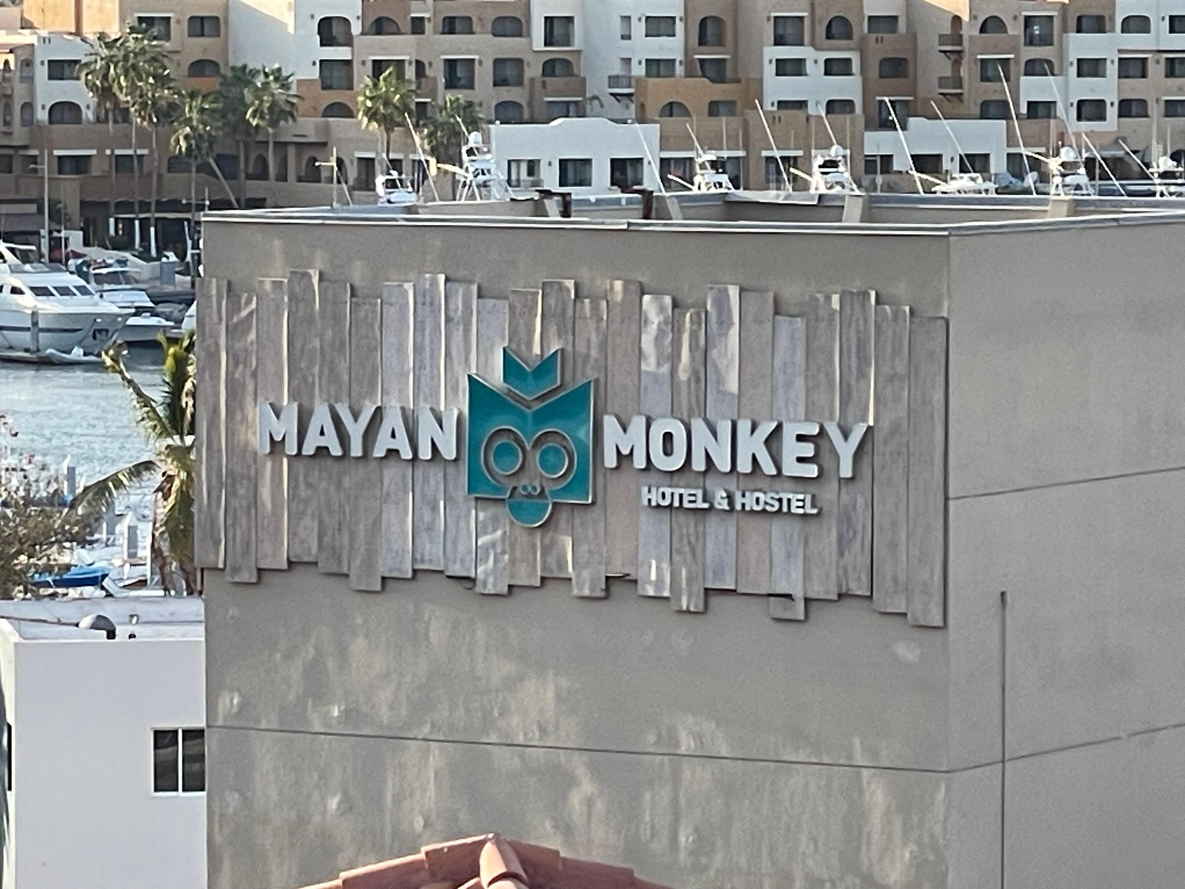 Our nearly $500/night room view 