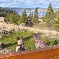 Cosens Beack trail looking at Kalamalka Lake