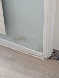 mold on the wall