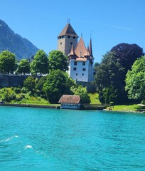 View from lake