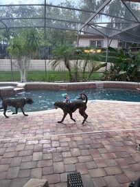 Got a little pool time between storms
