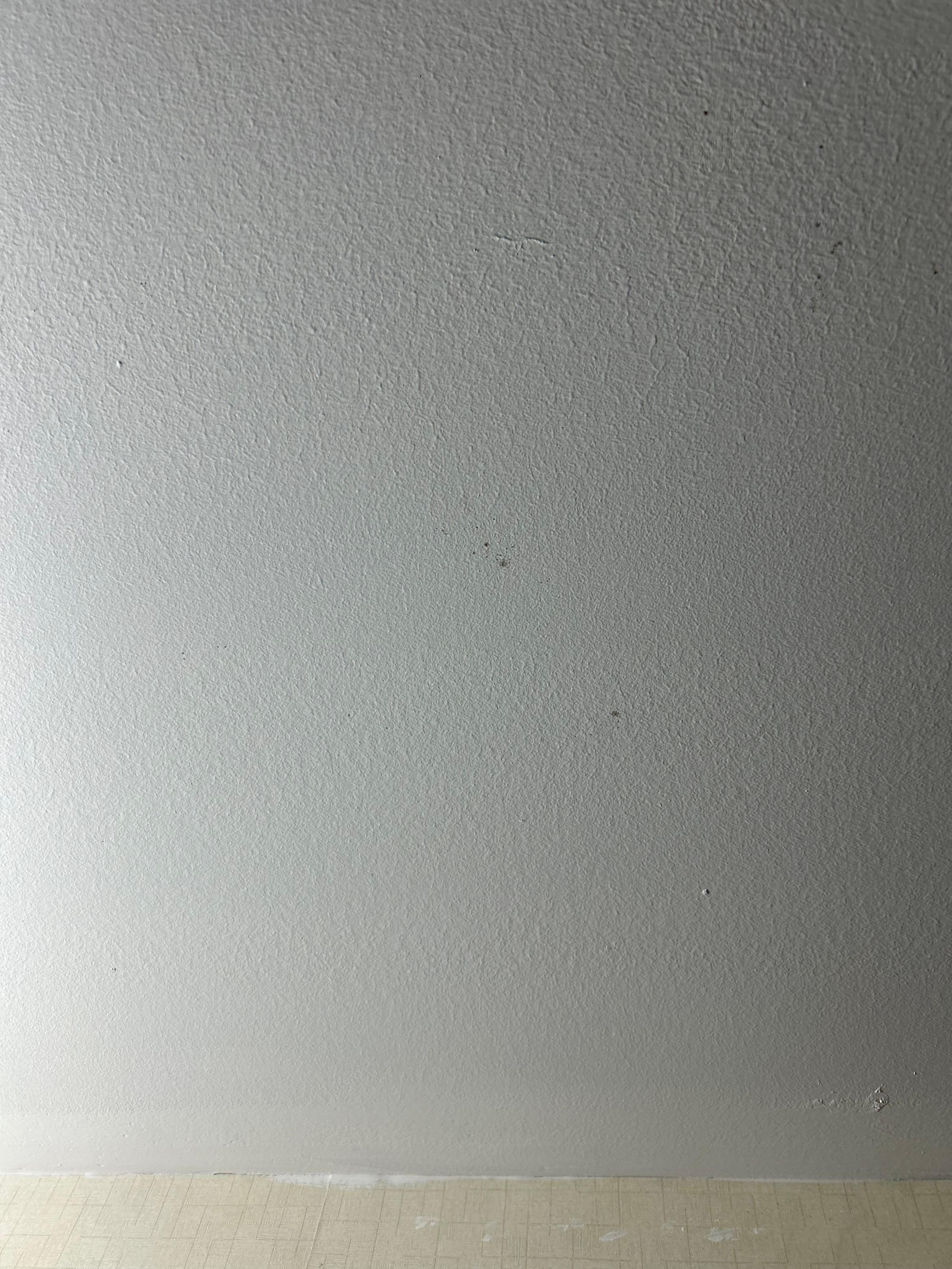 This is only some of the mold. 