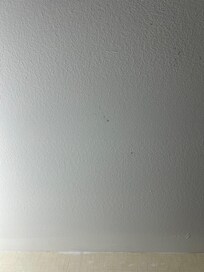 This is only some of the mold.