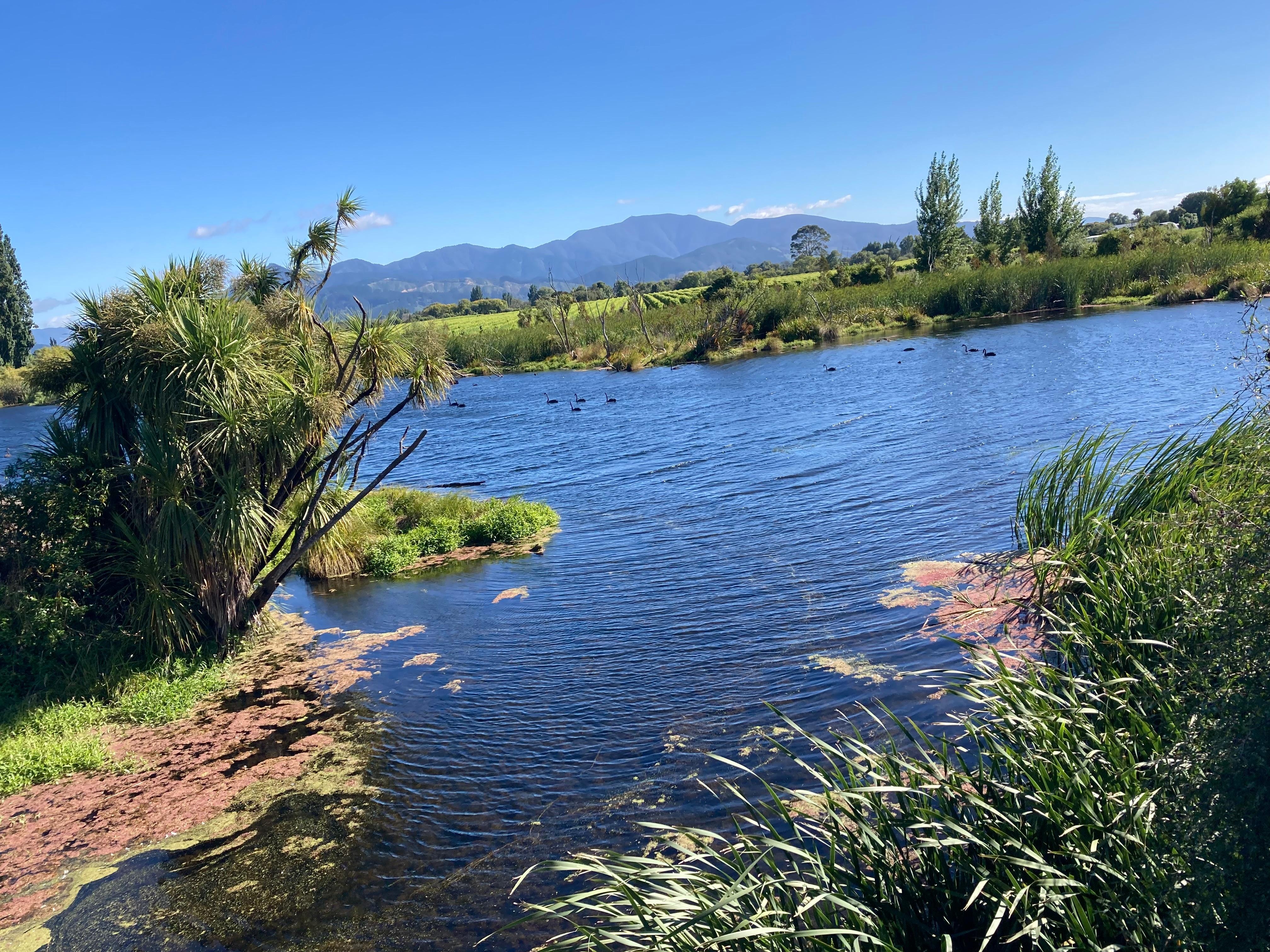 Grovetown lagoon a 10 minute drive from studio