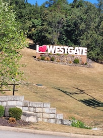 We will stay here again!