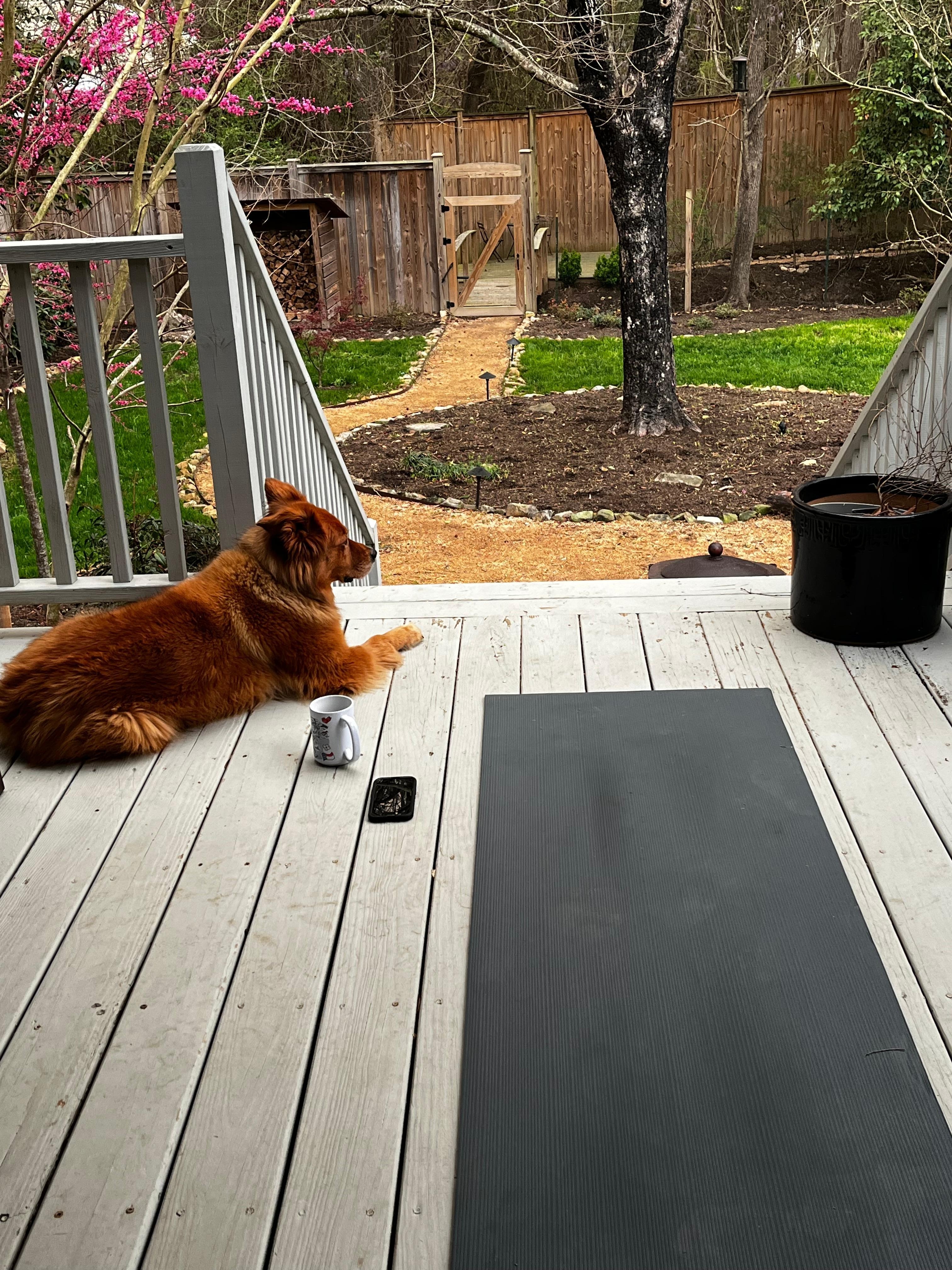 Peaceful morning Yoga spot
