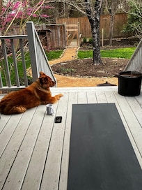 Peaceful morning Yoga spot