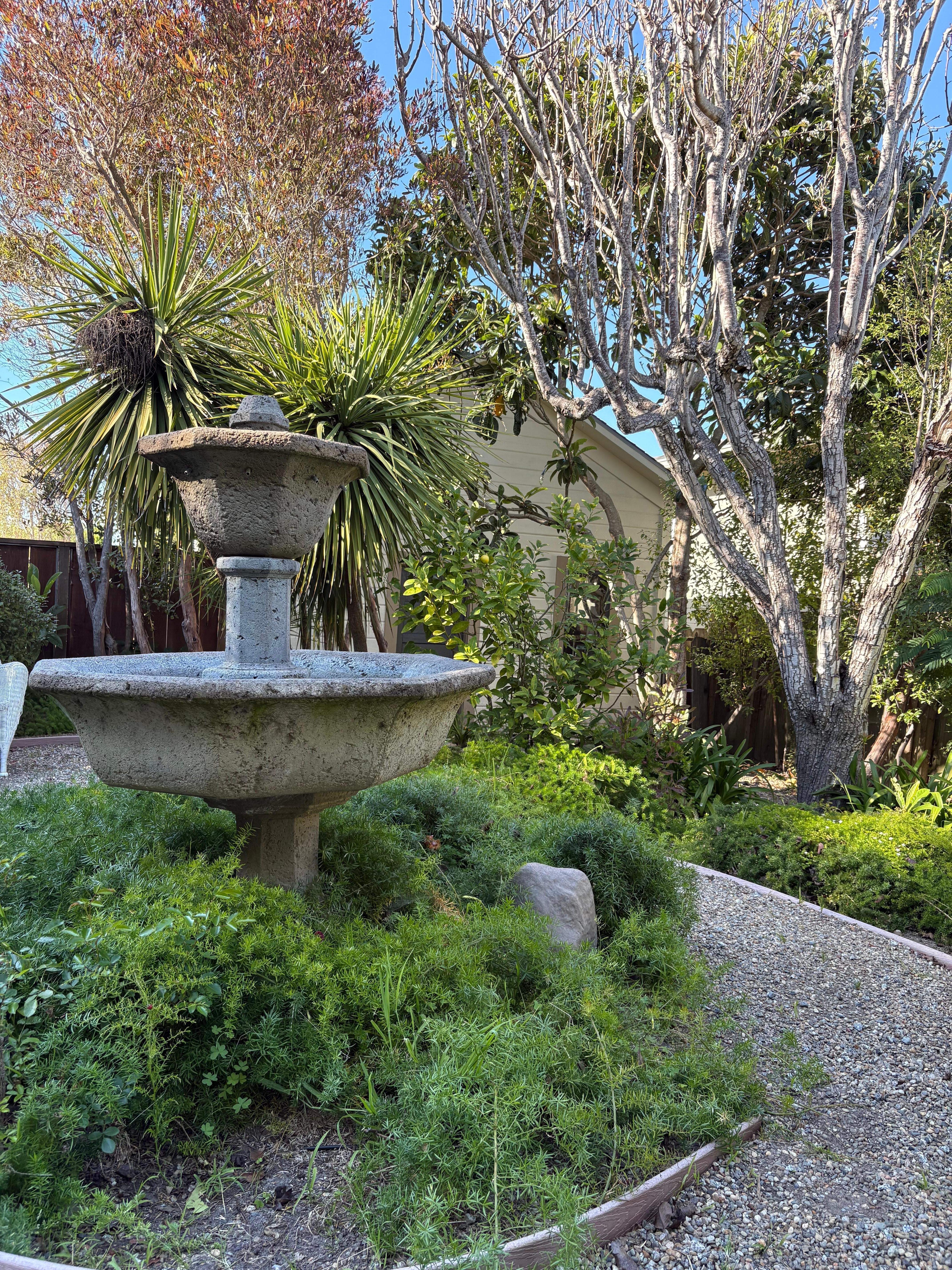 Lovely fountain in back garden
