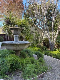 Lovely fountain in back garden