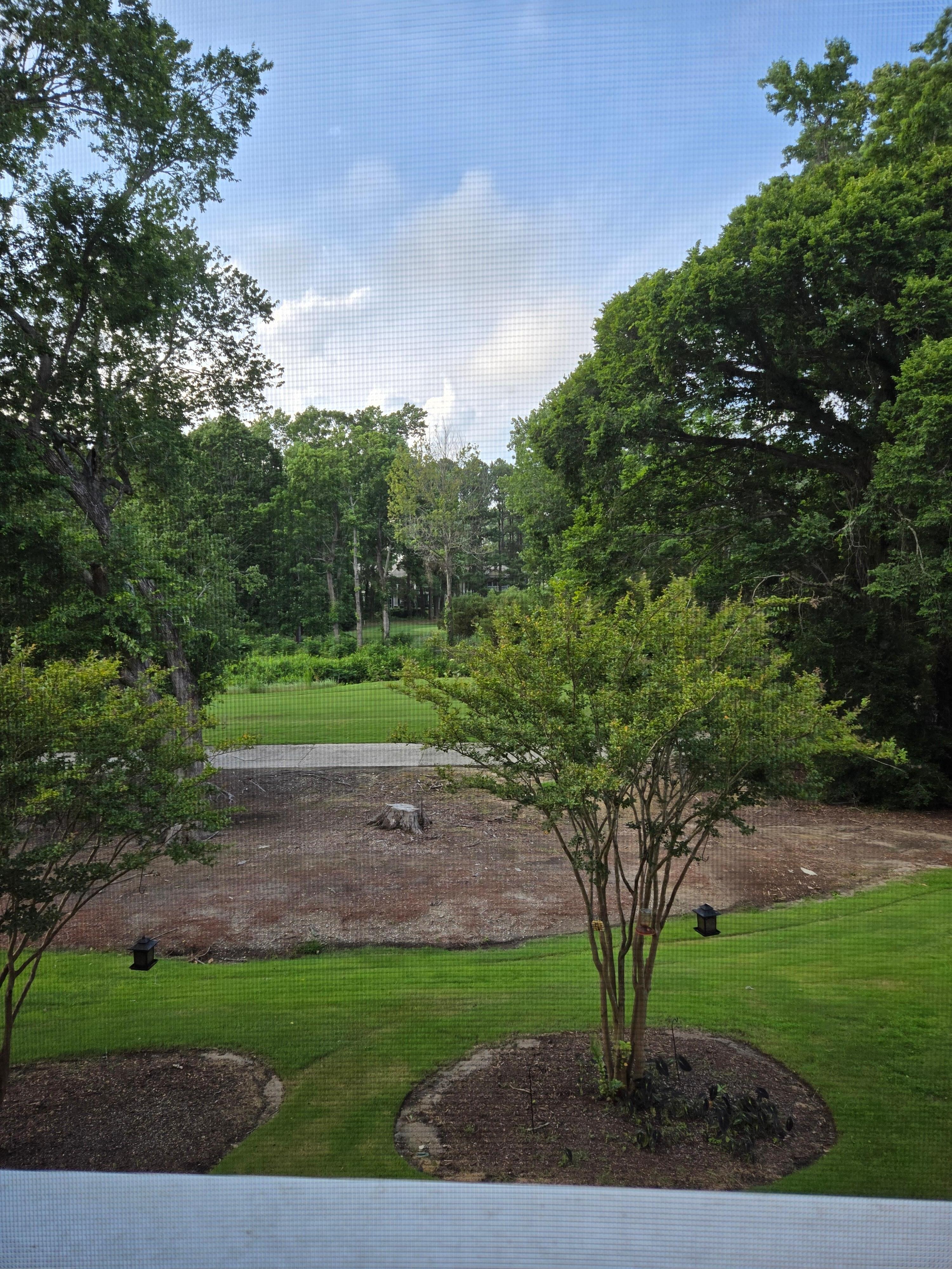View from the lanai